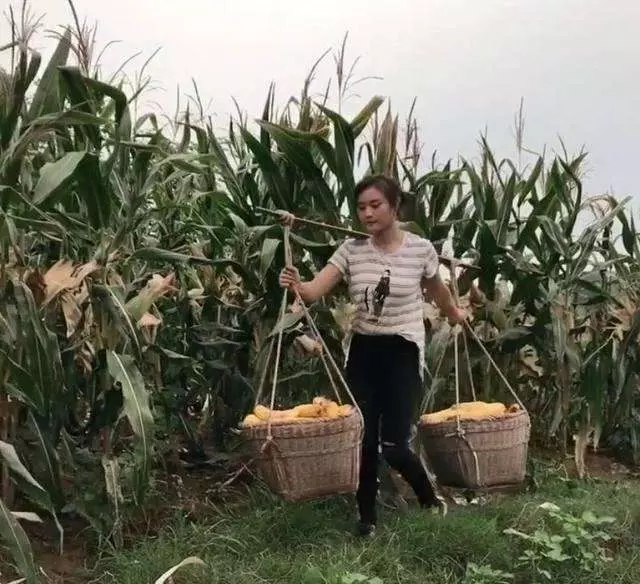 女子每月給娘家一千塊錢,丈夫不願意經常吵架,小姑子結婚時傻住
