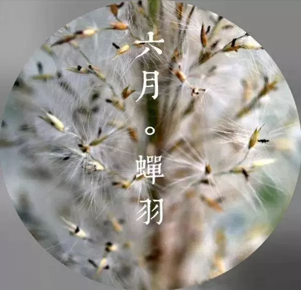 你的人生有多精彩?農曆出生月份,看你一輩子的好命