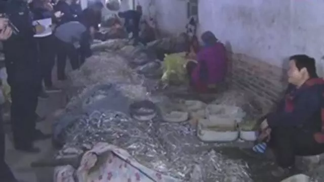 中國黑色產業鏈曝光 醫療垃圾變兒童玩具