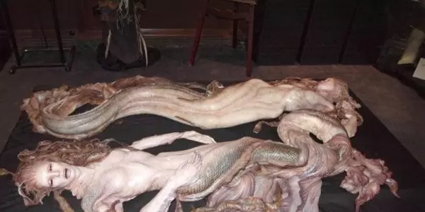 科學家找到了「美人魚」存在的證據!原來真相是...