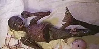 科學家找到了「美人魚」存在的證據!原來真相是...