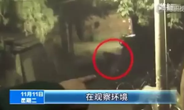 歹徒看到「情侶車內辦事」打算搶劫!沒想到女的露臉後,竟發生了讓人笑到抽的一幕!