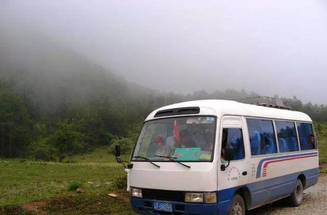女子在大巴車上內急,半夜讓司機高速上停車,卻救了一車人命