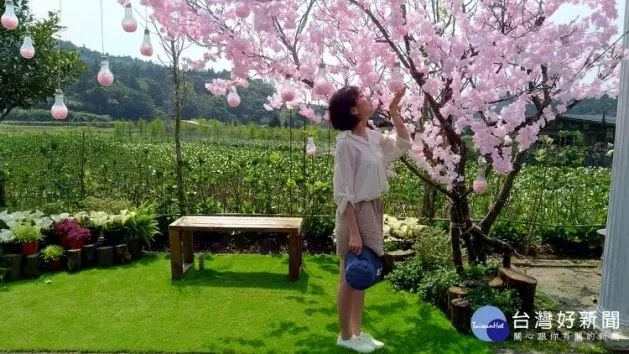 竹子湖海芋季3/29登場 十大打卡景點超好拍
