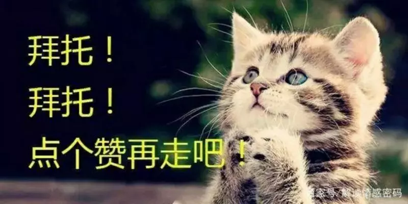 一個人的時候,照顧好自己(看哭了)