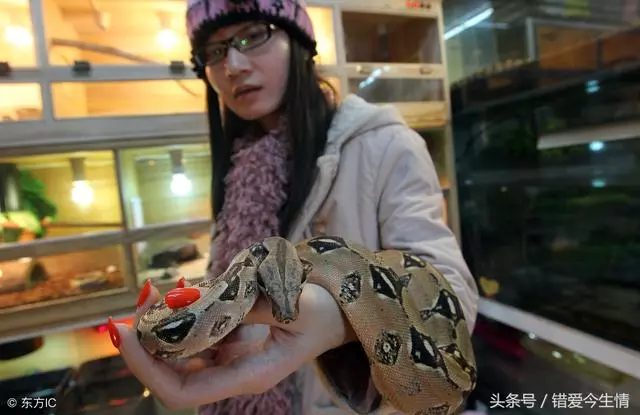 找個高富帥老公,新婚夜正要休息,鋪開被子,我尖叫一聲連夜逃走