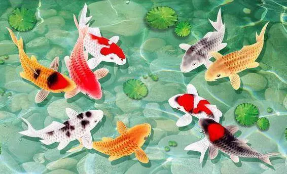 算命大師:三月大難已過,即將撞好運的生肖,鹹魚大翻身