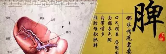 脾氣大,一種病態,告訴你幾個艾灸健脾穴位