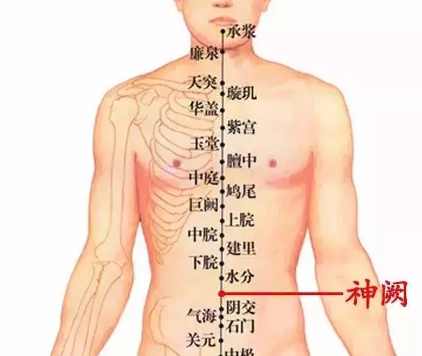 脾氣大,一種病態,告訴你幾個艾灸健脾穴位