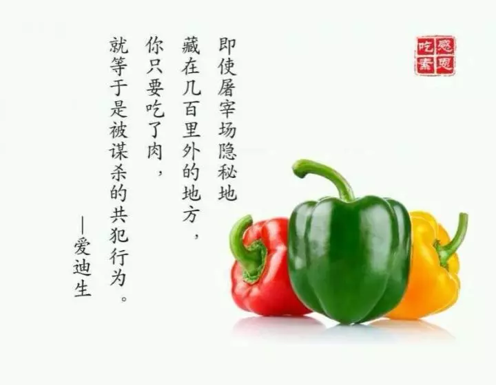 持續吃素90年的結果竟然是這樣啊 !!!太驚人了..請分享給朋友,會幫助很多人