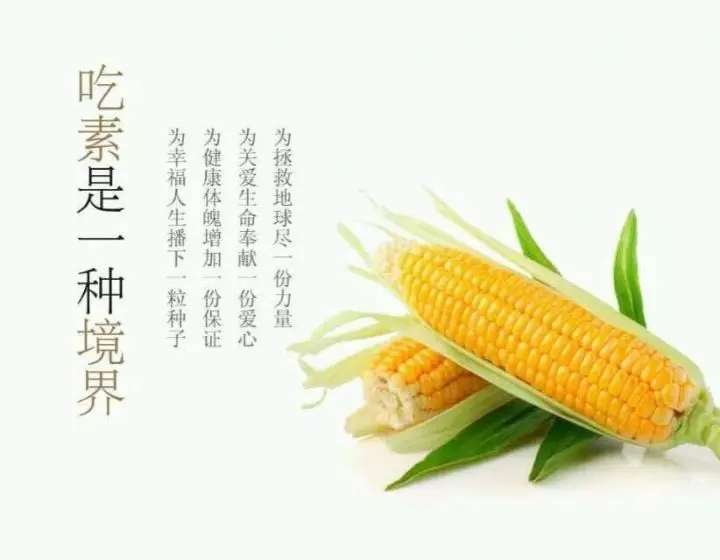 持續吃素90年的結果竟然是這樣啊 !!!太驚人了..請分享給朋友,會幫助很多人