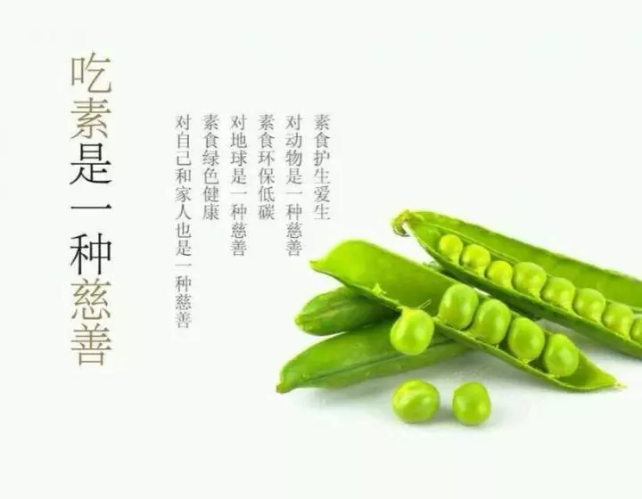 持續吃素90年的結果竟然是這樣啊 !!!太驚人了..請分享給朋友,會幫助很多人