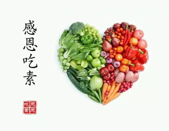 持續吃素90年的結果竟然是這樣啊 !!!太驚人了..請分享給朋友,會幫助很多人