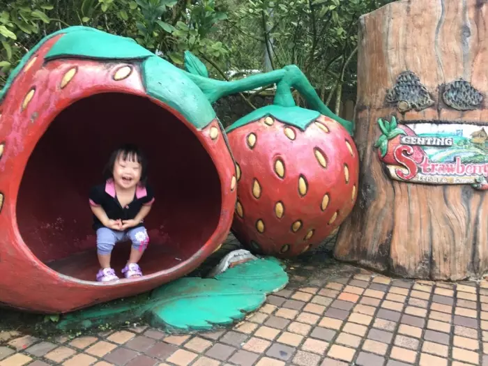 4歲女童發燒數天未痊癒 吃麵包呼吸困難送院不治 | 東方網 | 馬來西亞東方日報