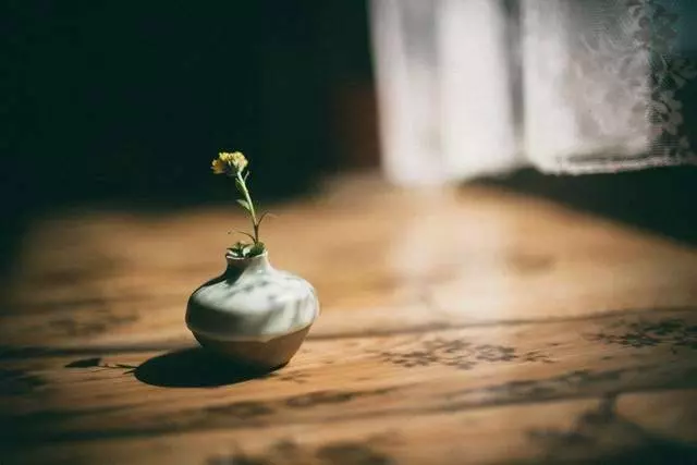 從今天開始,停止埋怨,因為它會吸走您的「養份」(福氣)