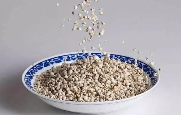 濕氣重人易胖,蘋果加一物,女人每天吃一點,排濕氣減肚腩,越吃越漂亮,全身無濕好輕鬆