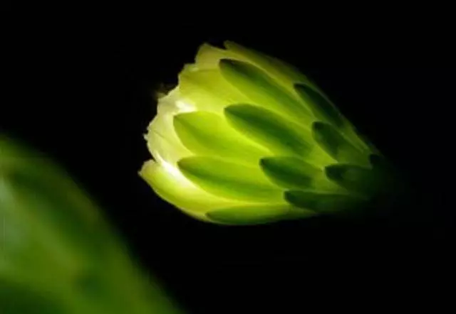兩張圖你找到幾處不同?揭示了你某方面的特殊能力