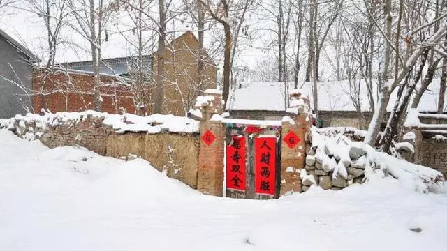 農村「長舌婦」的一次碎嘴,竟引發一起血案,她卻沒受到一點譴責