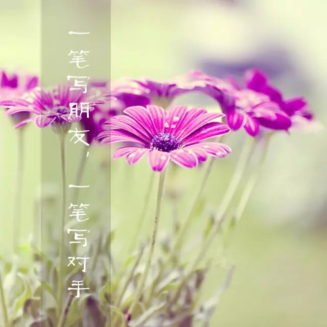 別人潑你的冷水,你就燒開了再潑回去!句句精闢!