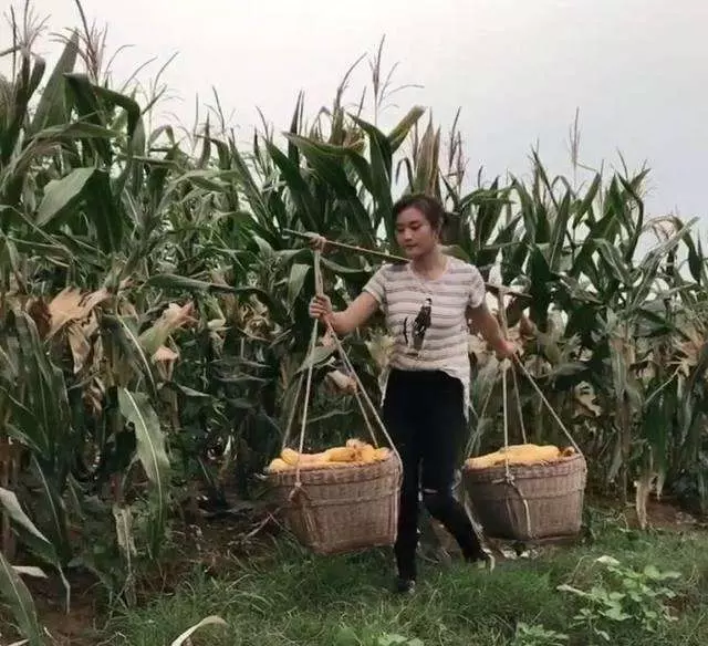 女子每月給娘家一千塊錢,丈夫不願意經常吵架,小姑子結婚時傻住