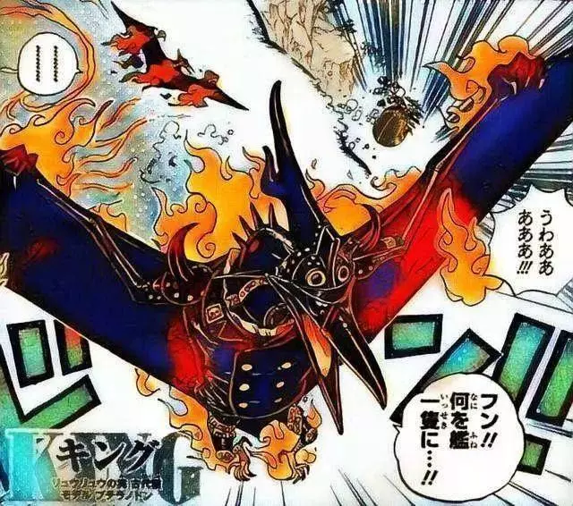 火災king懸賞金比卡塔庫栗高4億,頂尖武裝色霸氣擁有者!