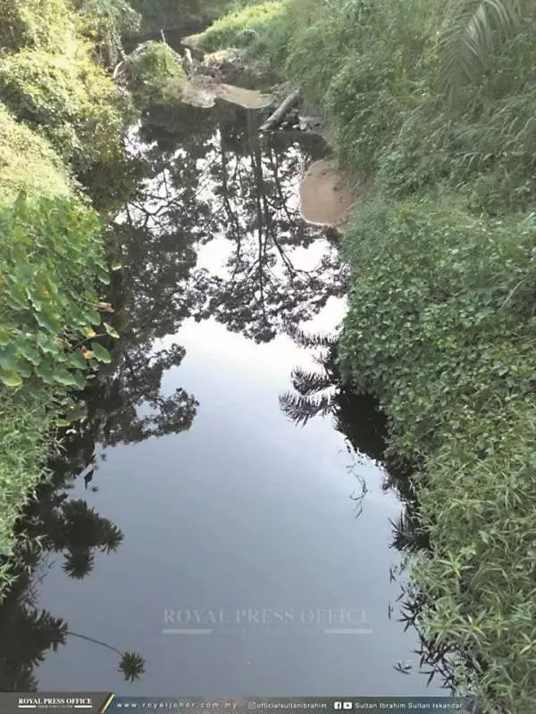 夠力了 ~ 疑污染2河現大量死魚 柔蘇丹御令徹查
