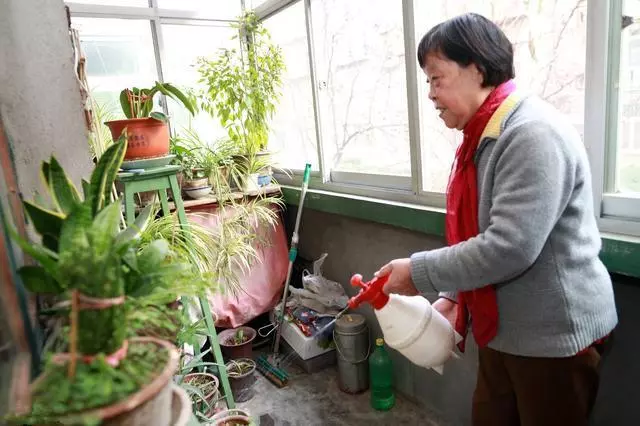 保姆照顧婆婆三年,如今竟然要反客為主趕我們走