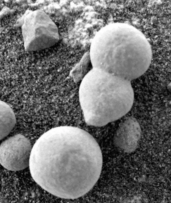 證實火星有生命? 「好奇號」三天拍15張「蘑菇」