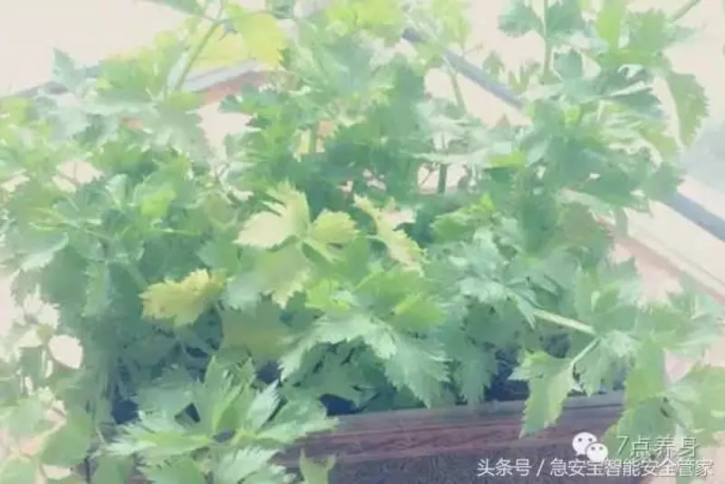 高血壓是慢性病,一旦患上就需要終身服藥!! 幫你附上「年齡和血壓」對照表,有必要了解...