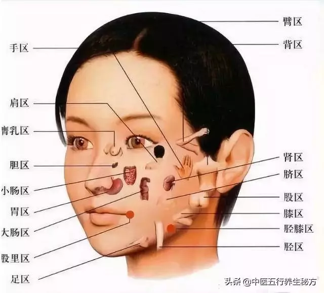 中醫面診的秘密:從臉部看五臟疾病!恕我直言,你不一定真的懂它