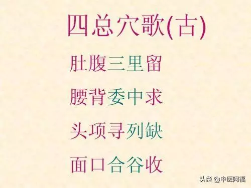 手三里穴-——落枕和急性腰扭傷首選穴
