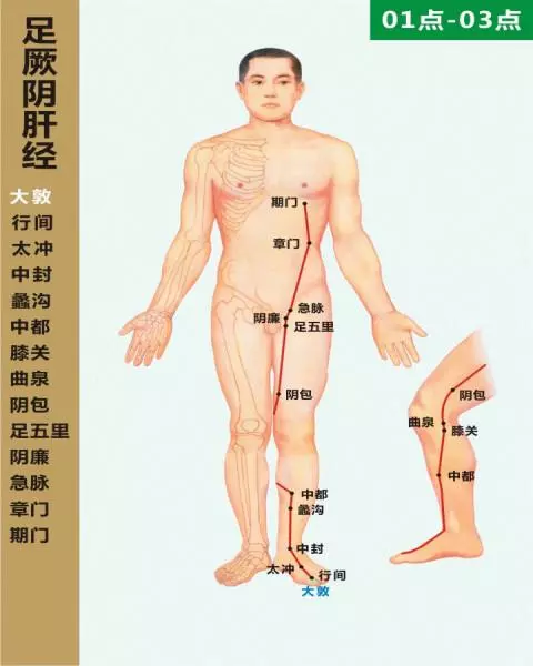 春天不養肝,夏天徒傷悲!養肝最佳時間沒幾天了