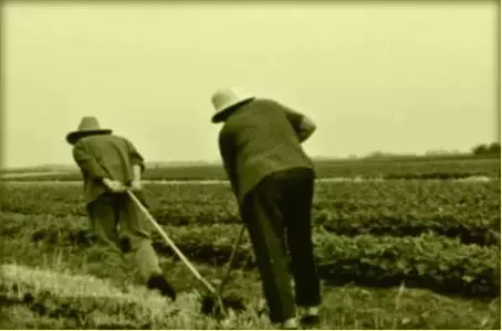 《父母恩重難報經》人間最苦的兩個人,是爹和娘!請一定善待他們!