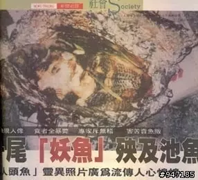 民國84年轟動全台的鬼故事,你還記得【魚肉好吃嗎?】