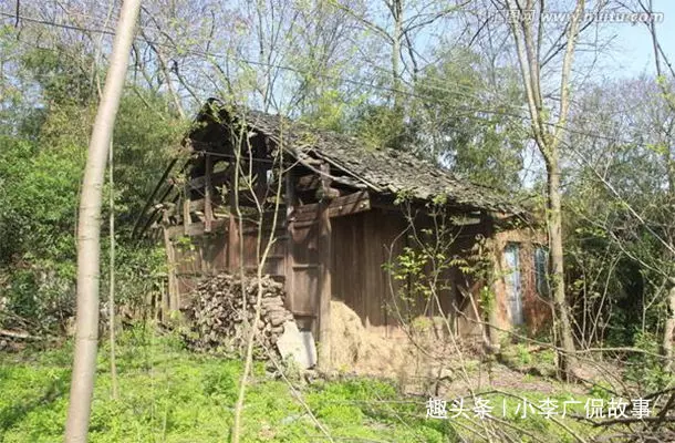 父親去世,遺產歸兒子,女兒拿一物留紀念,幾年後,女兒蒙了