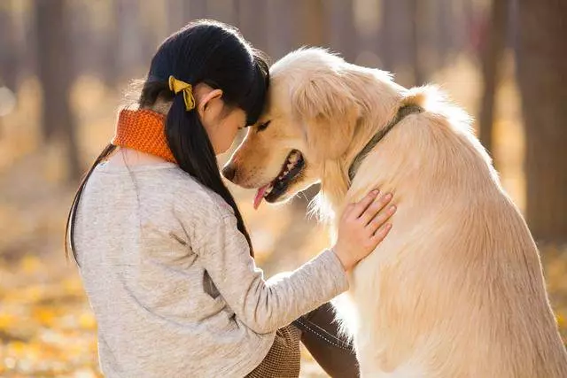 甜!狗狗喜歡舔你是不是愛呢?其實不僅僅是愛