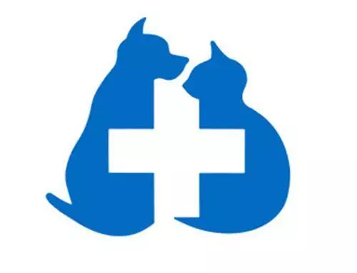 貴賓犬突然拉稀水,貴賓犬拉稀突然跟水一樣