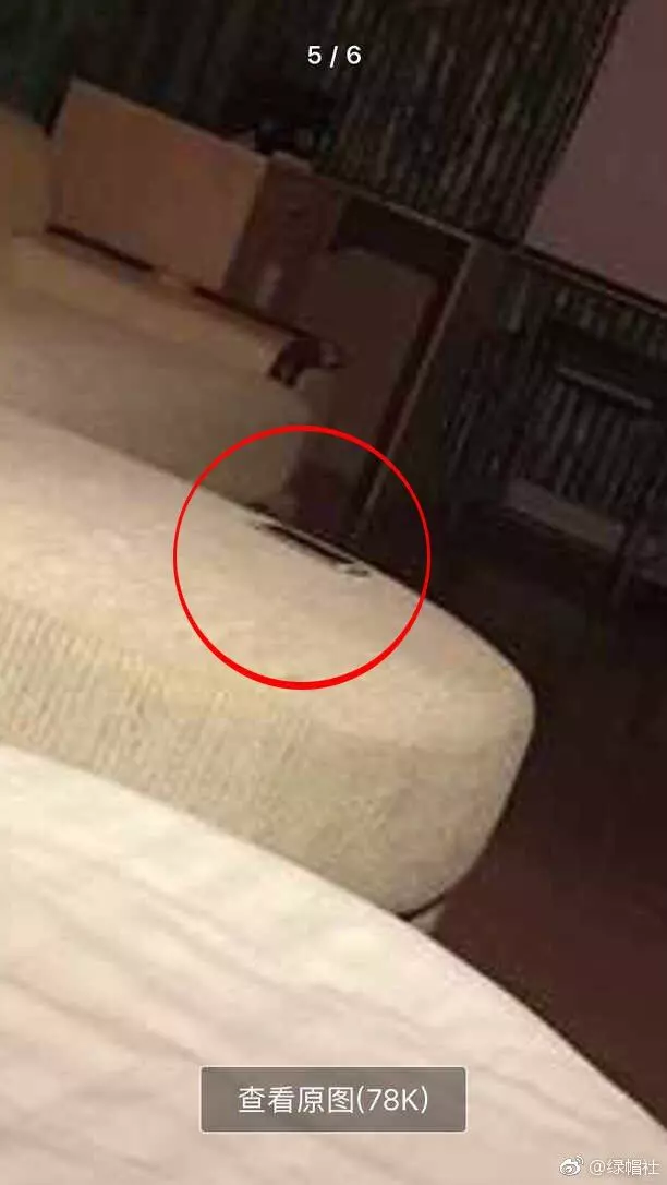 女友外出旅遊睡前甜發「房間照」!網友卻眼尖發現這超大亮點…完了綠到爆!