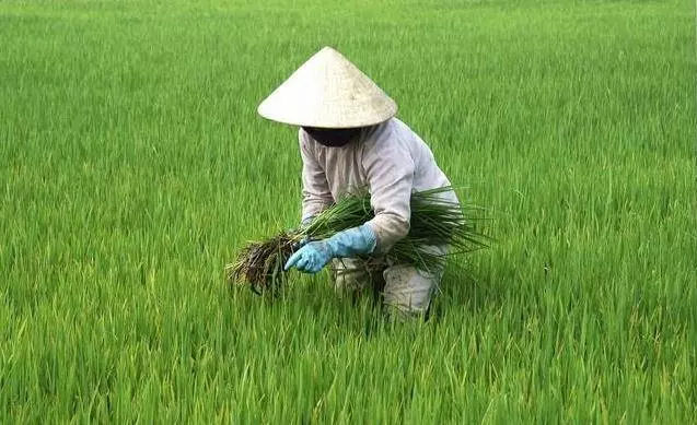 血液為什麼粘稠?與吃關係很大,醫生奉勸:這3類食物再喜歡也不要碰