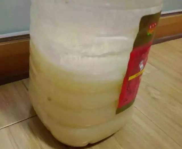 別再用淘米水和黃豆水了,這個天,出門找找蚯蚓,花就有的吃