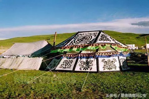 去西藏旅遊「白色帳篷」男人千萬別進!年輕藏族妹在內,進去就要對她負責了!