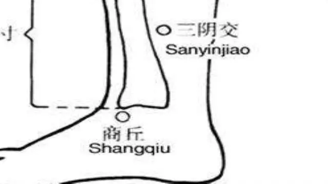 艾灸這條經可以化掉任何慢性病(建議收藏)