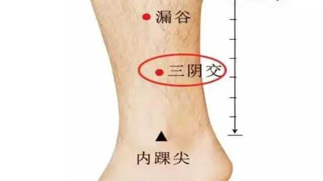 艾灸這條經可以化掉任何慢性病(建議收藏)