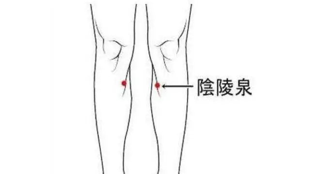 艾灸這條經可以化掉任何慢性病(建議收藏)