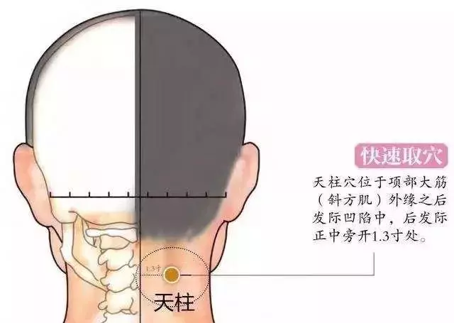 人一生的四個時期,艾灸不同穴位,提升健康水平
