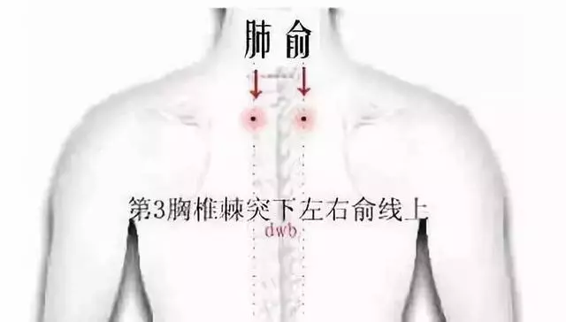 人一生的四個時期,艾灸不同穴位,提升健康水平