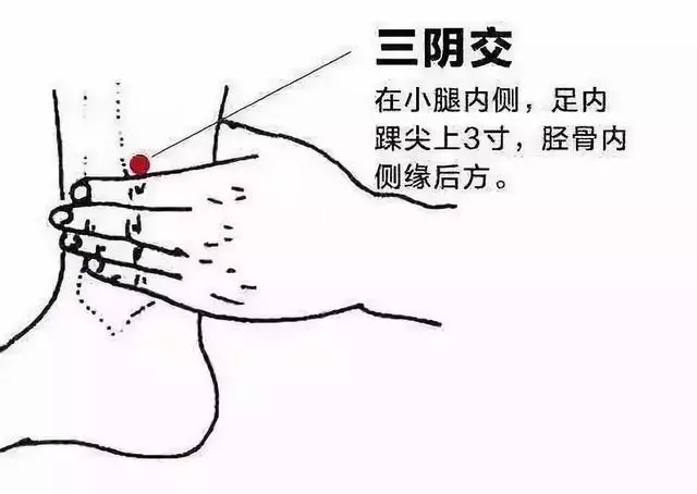 人一生的四個時期,艾灸不同穴位,提升健康水平