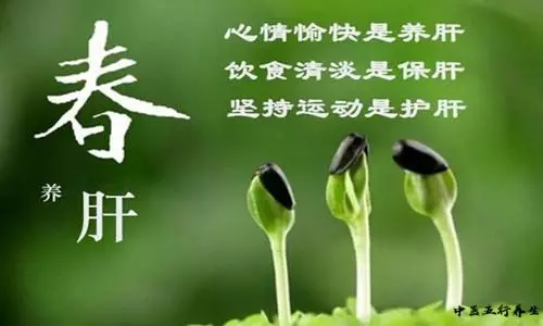 肝氣鬱結「百病生」!春季養肝一定要警惕這5個表現
