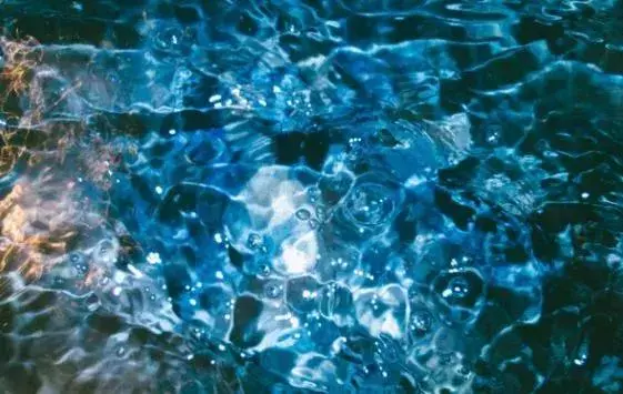 學中醫,你知道什麼是精、氣、血和津液嗎?