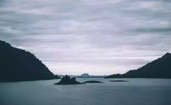 學中醫,你知道什麼是精、氣、血和津液嗎?